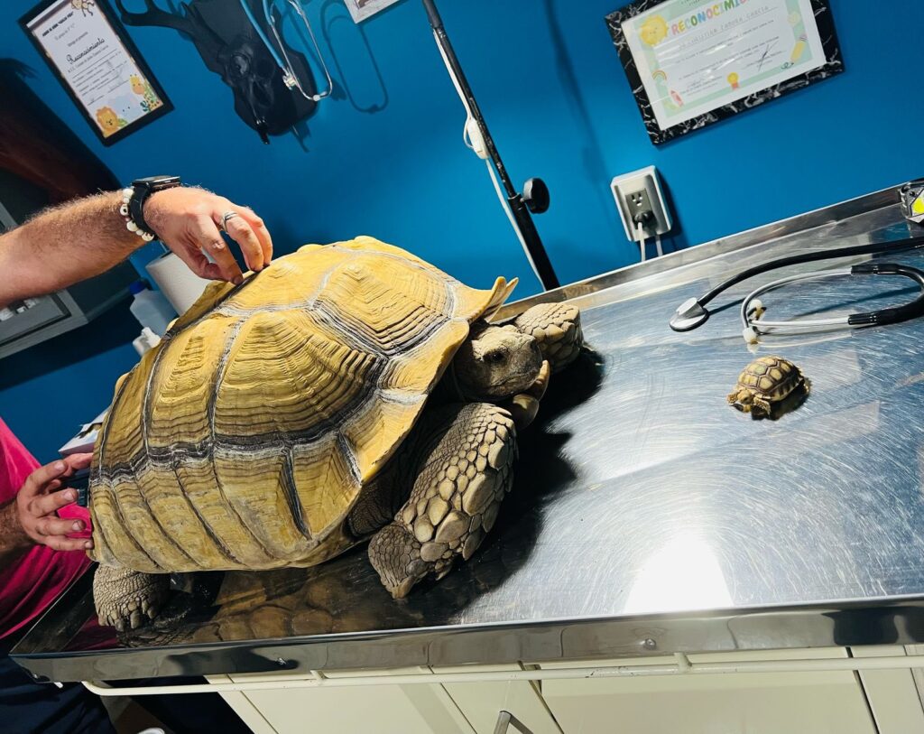 499820245 122189733452108849 5130445466221662713 n
